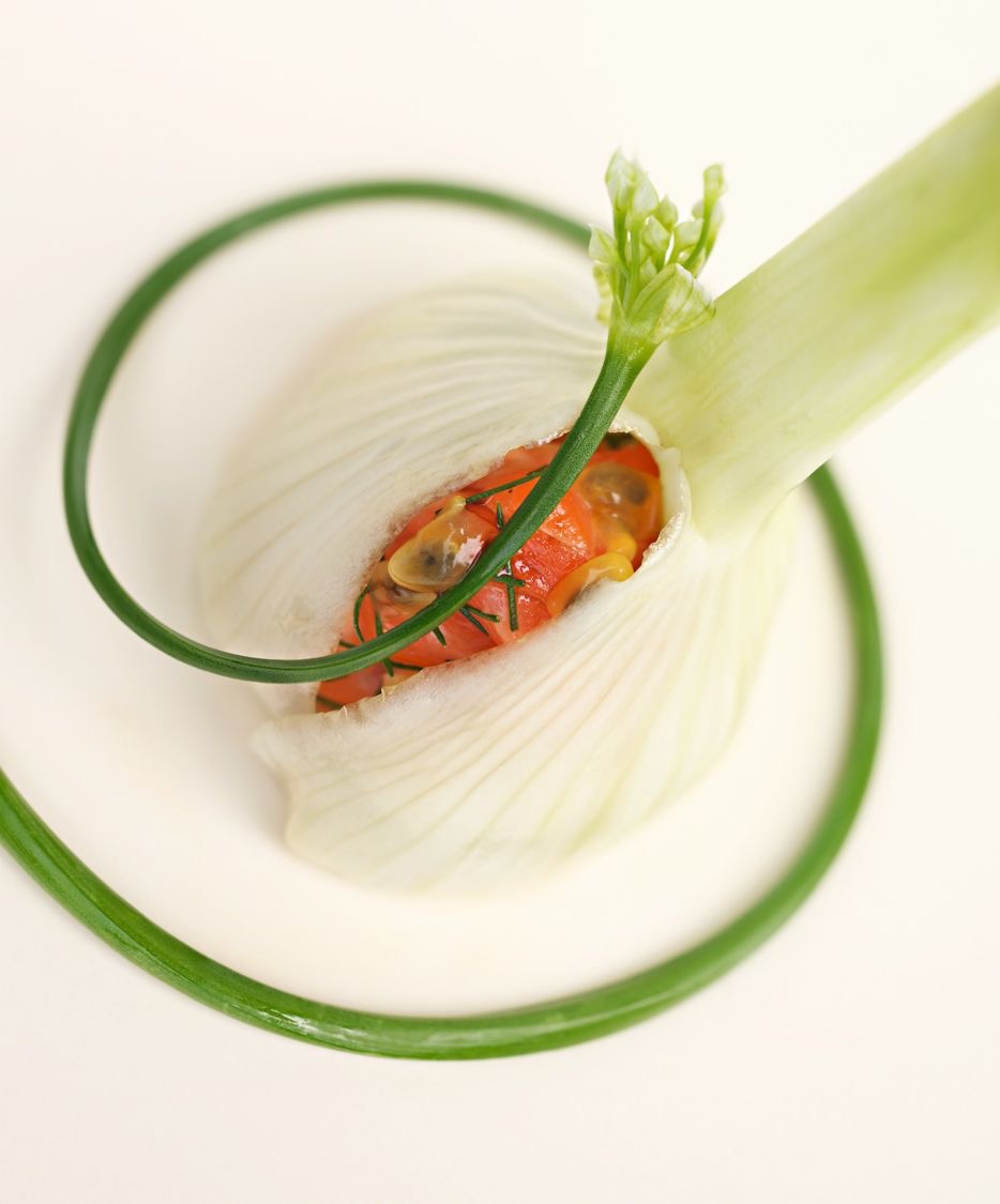 Coque de fenouil, un tartare dedans - Cru